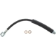 Purchase Top-Quality Rear Brake Hose by CENTRIC PARTS - 150.62082 pa2
