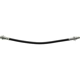 Purchase Top-Quality Rear Brake Hose by CENTRIC PARTS - 150.62300 pa2