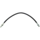 Purchase Top-Quality Rear Brake Hose by CENTRIC PARTS - 150.62303 pa1