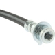 Purchase Top-Quality Rear Brake Hose by CENTRIC PARTS - 150.62312 pa2