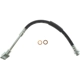 Purchase Top-Quality Rear Brake Hose by CENTRIC PARTS - 150.62318 pa2