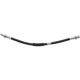 Purchase Top-Quality Rear Brake Hose by CENTRIC PARTS - 150.62338 pa2