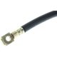 Purchase Top-Quality Rear Brake Hose by CENTRIC PARTS - 150.62342 pa4