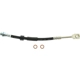 Purchase Top-Quality Rear Brake Hose by CENTRIC PARTS - 150.62345 pa2