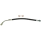 Purchase Top-Quality Rear Brake Hose by CENTRIC PARTS - 150.62351 pa2