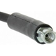 Purchase Top-Quality Rear Brake Hose by CENTRIC PARTS - 150.62364 pa7