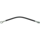Purchase Top-Quality Rear Brake Hose by CENTRIC PARTS - 150.62373 pa1