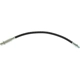 Purchase Top-Quality Rear Brake Hose by CENTRIC PARTS - 150.62384 pa1