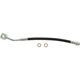 Purchase Top-Quality Rear Brake Hose by CENTRIC PARTS - 150.62426 pa2