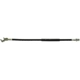 Purchase Top-Quality Rear Brake Hose by CENTRIC PARTS - 150.65347 pa5