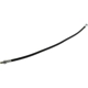 Purchase Top-Quality CENTRIC PARTS - 150.65361 - Brake Hydraulic Hose pa2