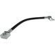 Purchase Top-Quality Rear Brake Hose by CENTRIC PARTS - 150.65369 pa2