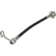 Purchase Top-Quality Rear Brake Hose by CENTRIC PARTS - 150.65423 pa2