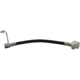 Purchase Top-Quality Rear Brake Hose by CENTRIC PARTS - 150.65423 pa3