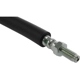 Purchase Top-Quality Rear Brake Hose by CENTRIC PARTS - 150.65491 pa3