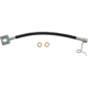 Purchase Top-Quality Rear Brake Hose by CENTRIC PARTS - 150.65501 pa2