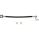Purchase Top-Quality Rear Brake Hose by CENTRIC PARTS - 150.65504 pa2