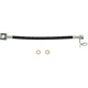 Purchase Top-Quality Rear Brake Hose by CENTRIC PARTS - 150.65504 pa6