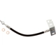 Purchase Top-Quality Rear Brake Hose by CENTRIC PARTS - 150.65519 pa1