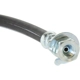 Purchase Top-Quality Rear Brake Hose by CENTRIC PARTS - 150.67316 pa2
