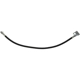 Purchase Top-Quality Rear Brake Hose by CENTRIC PARTS - 150.67317 pa2