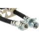 Purchase Top-Quality Rear Brake Hose by CENTRIC PARTS - 150.67331 pa2