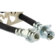 Purchase Top-Quality Rear Brake Hose by CENTRIC PARTS - 150.67331 pa7