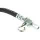 Purchase Top-Quality Rear Brake Hose by CENTRIC PARTS - 150.67349 pa6