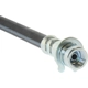 Purchase Top-Quality Rear Brake Hose by CENTRIC PARTS - 150.68002 pa1