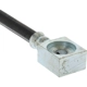 Purchase Top-Quality Rear Brake Hose by CENTRIC PARTS - 150.79303 pa2