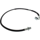 Purchase Top-Quality Rear Brake Hose by CENTRIC PARTS - 150.83313 pa1