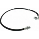 Purchase Top-Quality Rear Brake Hose by CENTRIC PARTS - 150.83313 pa5