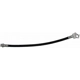 Purchase Top-Quality Rear Brake Hose by DORMAN/FIRST STOP - H36529 pa9