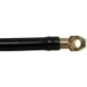 Purchase Top-Quality Rear Brake Hose by DORMAN/FIRST STOP - H36846 pa2