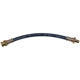 Purchase Top-Quality Rear Brake Hose by DORMAN/FIRST STOP - H38020 pa2