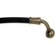 Purchase Top-Quality Rear Brake Hose by DORMAN/FIRST STOP - H380427 pa2