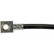 Purchase Top-Quality Rear Brake Hose by DORMAN/FIRST STOP - H382343 pa1