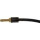 Purchase Top-Quality Rear Brake Hose by DORMAN/FIRST STOP - H620858 pa1