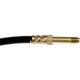 Purchase Top-Quality Rear Brake Hose by DORMAN/FIRST STOP - H620904 pa2