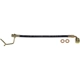 Purchase Top-Quality Rear Brake Hose by DORMAN/FIRST STOP - H621313 pa2