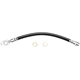Purchase Top-Quality Rear Brake Hose by DYNAMIC FRICTION COMPANY - 350-73038 pa2