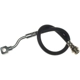 Purchase Top-Quality RAYBESTOS - BH381276 - Rear Brake Hose pa17