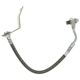 Purchase Top-Quality RAYBESTOS - BH382398 - Rear Brake Hose pa16