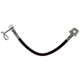 Purchase Top-Quality RAYBESTOS - BH383928 - Rear Right Brake Hydraulic Hose pa1