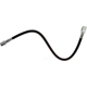 Purchase Top-Quality Rear Brake Hose by RAYBESTOS - BH383946 pa1