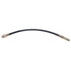 Purchase Top-Quality Rear Brake Hose by RAYBESTOS - BH13841 pa2