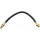 Purchase Top-Quality Rear Brake Hose by RAYBESTOS - BH36005 pa16