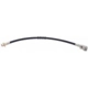 Purchase Top-Quality Rear Brake Hose by RAYBESTOS - BH36560 pa1