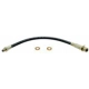 Purchase Top-Quality Rear Brake Hose by RAYBESTOS - BH36565 pa1