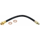 Purchase Top-Quality Rear Brake Hose by RAYBESTOS - BH36610 pa7